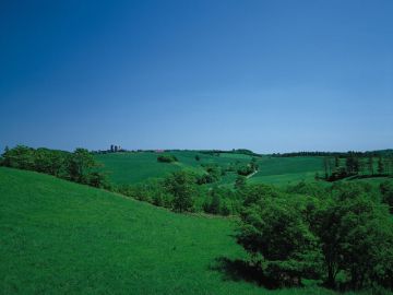 ビジネスホテル舞鶴荘