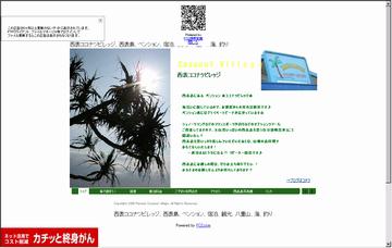 西表ココナツビレッジ
